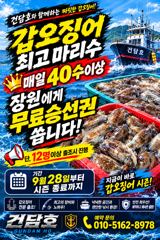 (건담호)3일 갑오징어 말이필요없는 조황^^ 담주쟈리여유