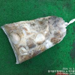 3일 뉴미라클 쭈,갑 오늘도 큰싸이즈로 ~~