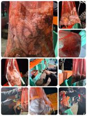 [포항] 10/3 돌문어 2부실시간 쿵쾅쿵쾅 뉴대양호