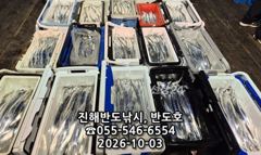 [진해] 4일,내만갈치,커진 씨알로 쿨러 빵빵하게,내일출항(월,화,수~예…