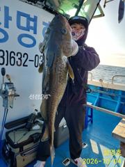 22인승 창명호,뉴창명호 모레 화요일(6일) 대구낚시 출조 선비:6만원