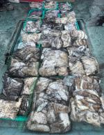 {{{서해호김선장}}} 10월 4일 18분 쭈갑 굿~~~수고하셨습니다 ~~~