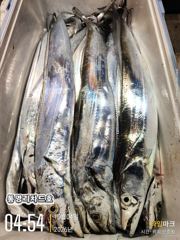 [통영] 10/3(토) 갈치(텐빈,텐야,메탈) 4지~3지~ 화,수,목요일…