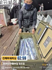 [진해] 먼바다[갈치/텐빈]4일입항 쿨러조황~2.5~4지급까지[수요일부터…