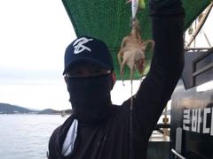 [사천] 쭈꾸미 초대박조황