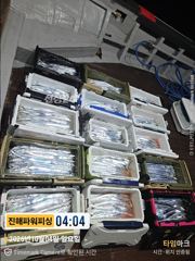 먼바다[갈치/텐빈]4일입항 쿨러조황~2.5~4지급까지[수요일부터]예약가능