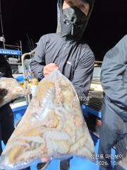 삼천포 마린보이 10. 4. 마릿수 풍성한 야간문어 뜯고 왔습니다.