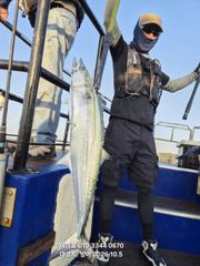 5일 현재 대물대삼치~방어,삼치 버글버글//4일 야간팁런 굿~~오후/화,수~(모집)