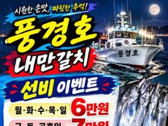 [진해] 내만갈치)선비 이벤중. 내만에서 4지까지 사이즈 마릿수 굿!
