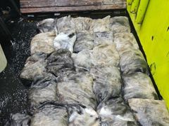[군산] 10/4. 군산. 대한낚시. 주꾸미. 조황. 내일도. 출동해요