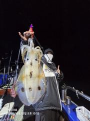 3일 무늬조황 내일부터 자리여유