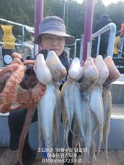 여수돌문어본격시즌시작ㆍ8일(목)자리가능ㆍ01086368723