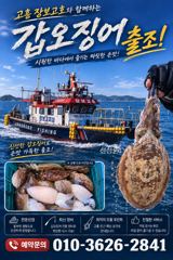 녹동돌문어 바람은 불어도 호조황~
