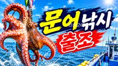 문어 >생미끼 >갑오징어 예약가능
