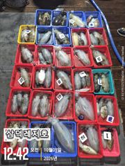 [통영] [팁런]1.3k k 완전무시급들 ,마리수로(화요일,소수인원,출항…