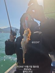 [사천] 쭈꾸미 잘 나와요~ 내일부터는 갑오징어!! 자리많아요