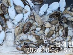 갑이랑 쭈 조과입니다