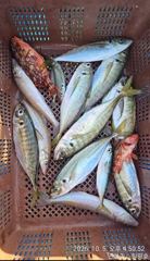 흘림, 생활낚시!!!