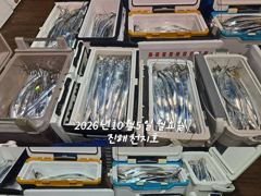 [진해] 내만갈치 씨알급으로 쿨러조항~~~예약가능
