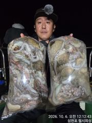 강풍속 야문~