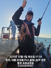 [통영] 통영 금정호 아침부터 키로급 문어들이 반겨줍니다 주중 주말 자리…