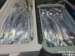 우와.6일새벽,내만칼치 강풍속에 용가리어마어마퍼담고초대박타작 쿨러넘쳐,오늘예약가능~