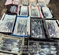 6일,내만갈치,담뱃갑 사이즈에 쿨러 넘치게,엄청 나옵니다,오늘출항(화,수~예약가능)