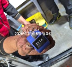 [진해] 팁런무늬!!내일 수 기상도 좋고!!달리세요~~