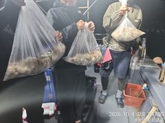 통영박프로호 야간 돌문어 마릿수 조황