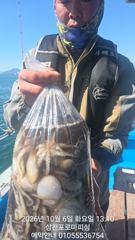 주꾸미(삼천포) 장원 130수~초보도 50수 이상~로마피싱(7일 예약)