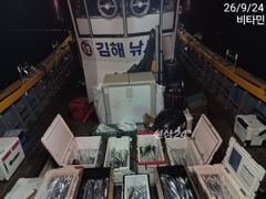[진해] 먼바다갈치 ///갈치텐빈&한치 수, 목, 금, 토~ 예약가능
