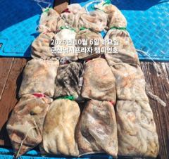 6일, 군산은 지금 ~싸이즈 확실한 덩치급 왕문어가~~싸이즈 굿~내일도 갑니다~군산낚시프라자 챔피언호