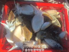 홍원항 쭈갑(주꾸미&갑오징어) 10월 6일(화) [[[ 블랙펄호 ]] 어제의 여파로 쉽지않은 시간 보냈지만 열심히 낚시해 주셔서 생각지 못한 조황 사진까지 남기며 무사히 입항하였습니다.