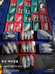 10월6일 사진