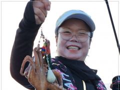 사량도 돌문어 조황