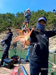 문어 씨알 굿굿!마리수 굿굿! 먹물파티!
