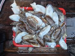 26.10.7 퀸블레스호 갑오징어 조황