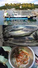 구산면 타이거 칼치