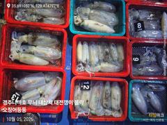 [경주] 무늬 팁런 매일 세자릿수 팁런 새벽반 출항 모집중 삼치 방어는 …