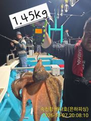 [진해] 문어 내만 야간 1.45k 1k 사이즈가 평균 마리수는 비슷 오… 사진