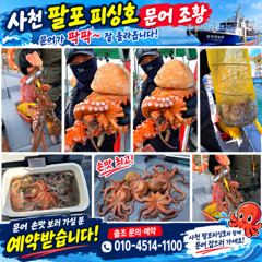삼천포 팔포피싱호 문어 출조 하실분 예약받습니다