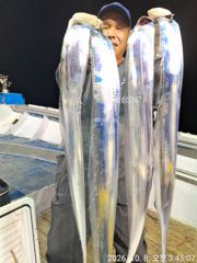 10월8일입항 대갈치 조황소식입니다