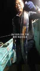 [통영최강리드호] 실시간 조황/ 통영 갈치제대로 붙었네요/토요일…