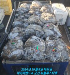 ★★ 10 / 8 [군산 대일피싱] 뉴 블루스타호 쭈/갑조황입니다. 다음주 월요일 예약가능합니다.