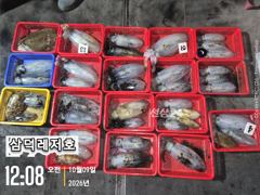 [팁런]k, 무시급들,대물갑돌이(금요일,출항확정,자리여유)