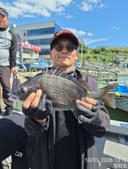 감성돔 << 흘림 >> 조황입니다@@