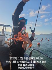 통영 금정호 대물문어선상 아침부터 바쁩니다!! 토,일요일 자리있습니다