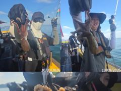 실시간))삼천포 쭈꾸미 대박!!