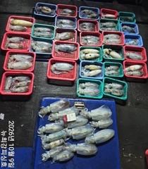 장원 31수~ 전원 두자릿수!!! 11일(일) 널널합니다!!!