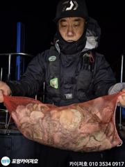 [포항] 8일 야간 돌문어 조황 입니다